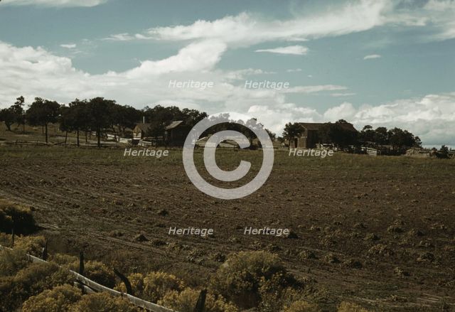 Field of beans and farmstead of Bill Stagg, homesteader, Pie Town, New Mexico, 1940. Creator: Russell Lee.