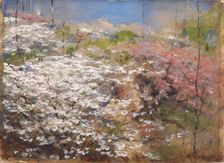 Field of Blossoms, 1927. Creator: William Henry Holmes