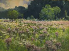 Field of Joe Pie Weeds (Pride of the Meadow), n.d. Creator: William Henry Holmes