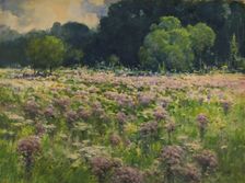 Field of Joe Pie Weeds (Pride of the Meadow), n.d. Creator: William Henry Holmes
