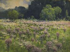 Field of Joe Pie Weeds (Pride of the Meadow), n.d. Creator: William Henry Holmes