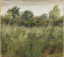 Field of Oats near Vejby, 1843. Creator: Peter Christian Thamsen Skovgaard