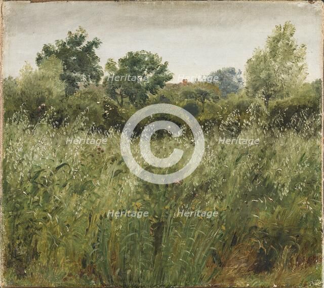 Field of Oats near Vejby, 1843. Creator: Peter Christian Thamsen Skovgaard.