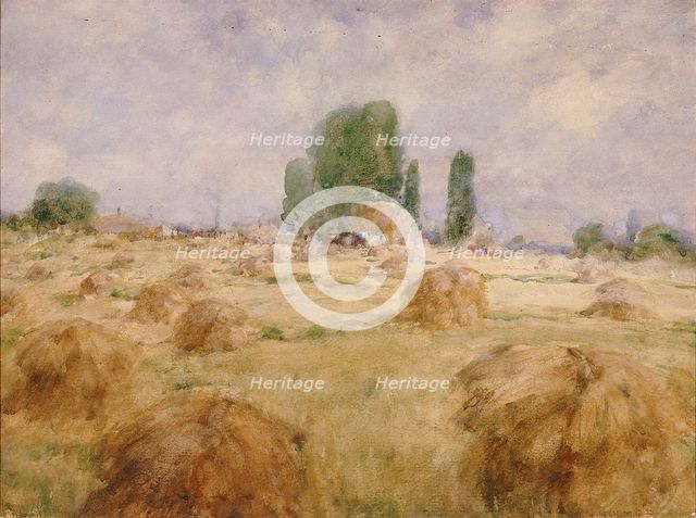 Field of Wheat Shock, n.d. Creator: William Henry Holmes.