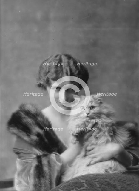 Field, Marshall, Mrs. (Miss Evelyn Marshall), with cat, portrait photograph, 1914 Dec. 15. Creator: Arnold Genthe.