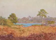 Field Study, Florida, date unknown, c1870-1920. Creator: John Ottis Adams