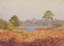 Field Study, Florida, date unknown, c1870-1920. Creator: John Ottis Adams