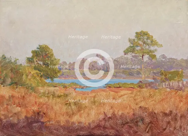 Field Study, Florida, date unknown, c1870-1920. Creator: John Ottis Adams.