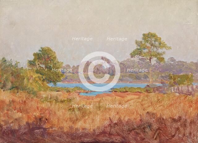 Field Study, Florida, date unknown, c1870-1920. Creator: John Ottis Adams.