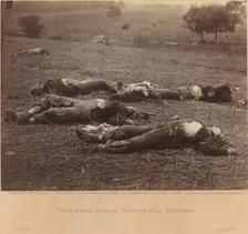 Field Where General Reynolds Fell, Gettysburg, July 5, 1863, July 5, 1863. Creator: Tim O'Sullivan