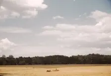 Field with farm equipment in distance, between 1941 and 1942. Creator: Unknown