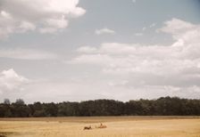 Field with farm equipment in distance, between 1941 and 1942. Creator: Unknown