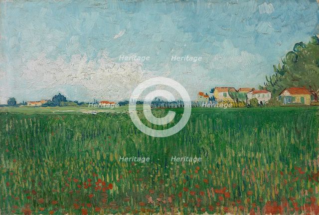 Field with Poppies, 1888. Creator: Gogh, Vincent, van (1853-1890).