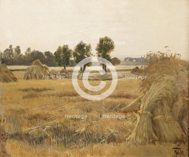 Field with sheaves of grain, 1857-1905. Creator: Thorvald Niss.