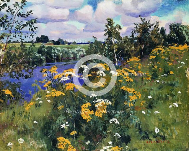 Field tansies, 1922. Artist: Rylov, Arkadi Alexandrovich (1870-1939)