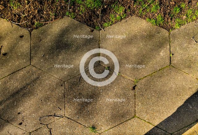 Fieldend Estate,  Strawberry Hill, Twickenham, Richmond upon Thames, London, 2019. Creator: Chris Redgrave.