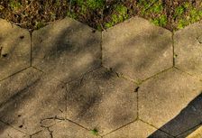 Fieldend Estate, Strawberry Hill, Twickenham, Richmond upon Thames, London, 2019. Creator: Chris Redgrave
