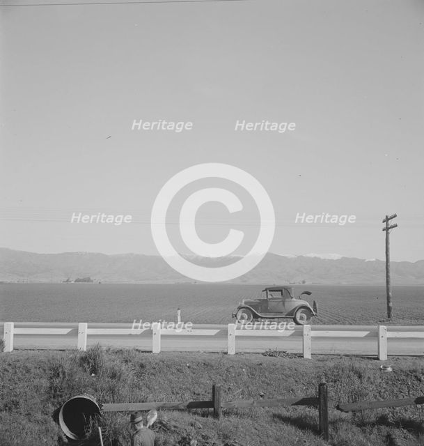 Fields and snow-capped mountains in the "home of the pink bean", near King City, California , 1939. Creator: Dorothea Lange.