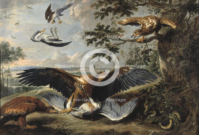 Fight between Eagles, mid-17th century. Creator: Workshop of Pieter Boel.