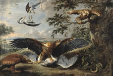 Fight between Eagles, mid-17th century. Creator: Workshop of Pieter Boel