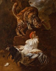 Fight of a Cock and a Cat, 1674. Creator: Jacomo Victors