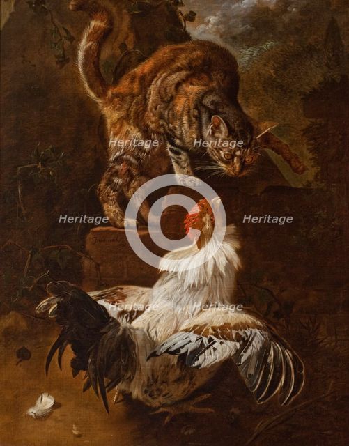 Fight of a Cock and a Cat, 1674. Creator: Jacomo Victors.