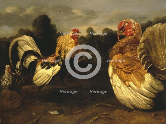 Fight of a Rooster and a Turkey Cock, 1650. Creator: Frans Snyders.