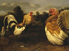 Fight of a Rooster and a Turkey Cock, 1650. Creator: Frans Snyders