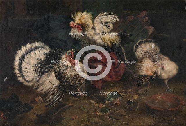 Fighting Cocks, 1902. Creator: Piet van Engelen.