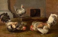 Fighting Cocks. Creator: Frans Snyders