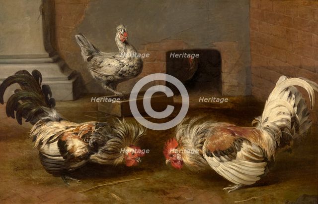 Fighting Cocks, c1600-1650. Creator: Frans Snyders.