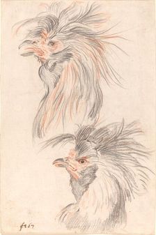 Fighting Cock, c. 1775. Creator: Johann Rudolf Schellenburg