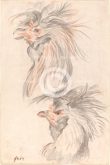 Fighting Cock, c. 1775. Creator: Johann Rudolf Schellenburg.