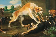 Fighting Dogs, 1700. Creators: Paul de Vos, Frans Snyders