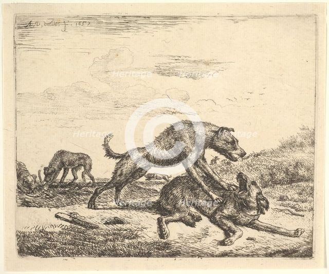 Fighting Dogs, from Different Animals, 1657. Creator: Adriaen van de Velde.