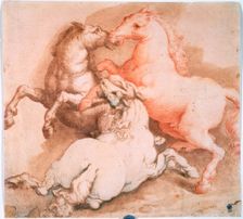 Fighting Horses c1550-1600. Creator: Unknown Old Master