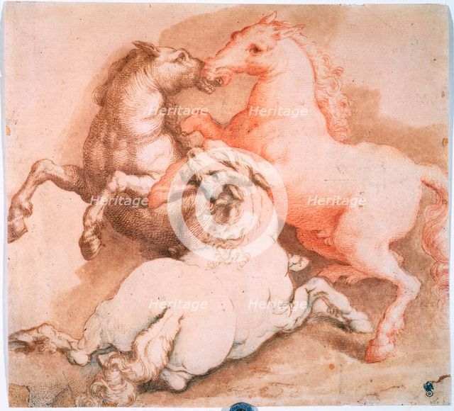 'Fighting Horses', c1550-1600. Creator: Unknown Old Master.