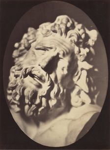 Figure 70: Head of the Laocoön of Rome, 1854-56, printed 1862. Creators: Duchenne de Boulogne, Adrien Alban Tournachon