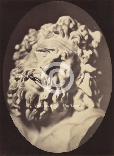 Figure 70: Head of the Laocoön of Rome, 1854-56, printed 1862. Creators: Duchenne de Boulogne, Adrien Alban Tournachon.