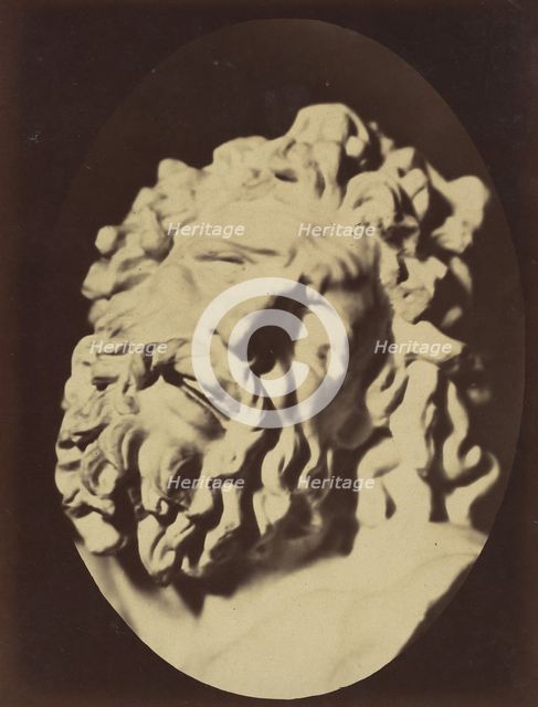 Figure 71: Same head as in Plate 70, 1854-56, printed 1862. Creators: Duchenne de Boulogne, Adrien Alban Tournachon.