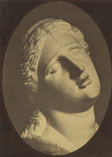 Figure 73: Head of Niobe, 1854-56, printed 1862. Creators: Duchenne de Boulogne, Adrien Alban Tournachon