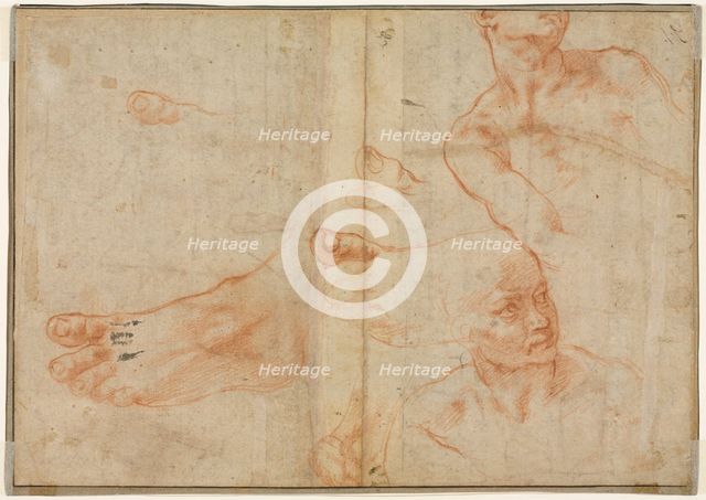 Figure Studies for the Sistine Ceiling (verso), 1510-11. Creator: Michelangelo Buonarroti (Italian, 1475-1564).