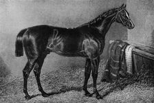 Filho Da Puta 1812-1835, (1911)