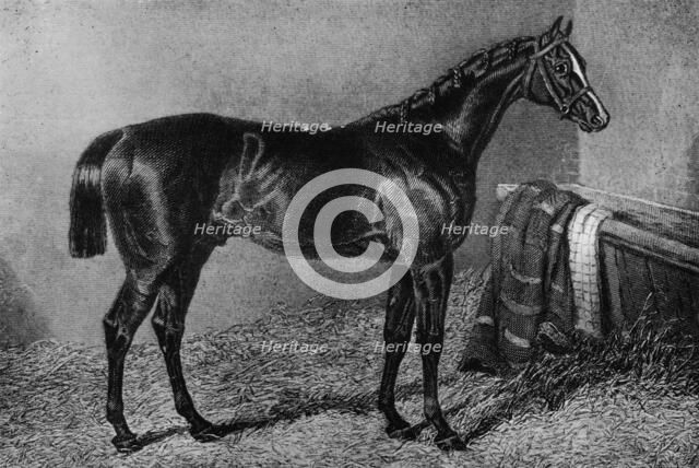 'Filho Da Puta', 1812-1835, (1911). Artist: Unknown.