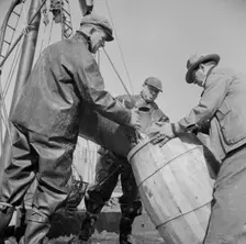 Filling a barrel with codfish at the Fulton fish market, New York, 1943. Creator: Gordon Parks