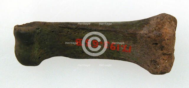 Finger Bone, Frankish, 7th century. Creator: Unknown.