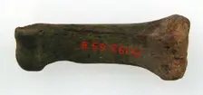 Finger Bone, Frankish, 7th century. Creator: Unknown