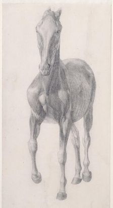 Finished study for The Sixth Anatomical Table of the Muscles ... of the Horse 1756. Creator: George Stubbs