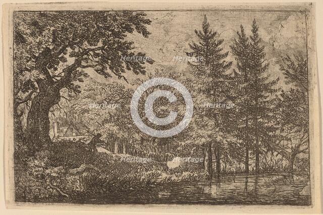 Fir Trees at the Water, probably c. 1645/1656. Creator: Allart van Everdingen.