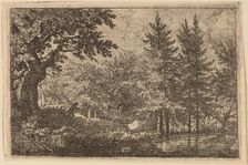 Fir Trees at the Water, probably c. 1645/1656. Creator: Allart van Everdingen